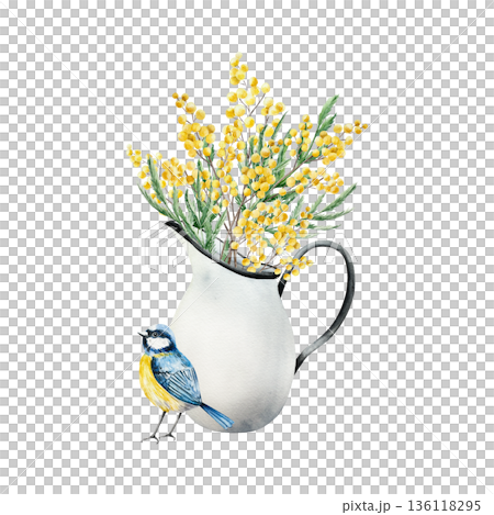 Porcelain jug with spring mimosa flowers. Watercolor Eurasian blue tit perche, ceramic pitcher with Narcissus, easter illustration isolated on background, transparent png. Vintage clip art. For 136118295