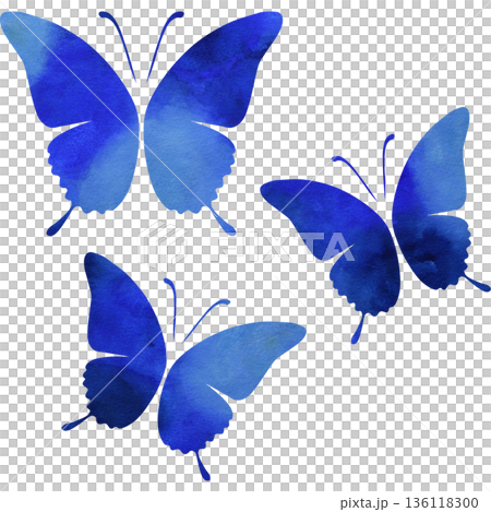 Beautiful watercolor butterfly icon image illustration Beautiful watercolor butterfly icon image illustration 136118300