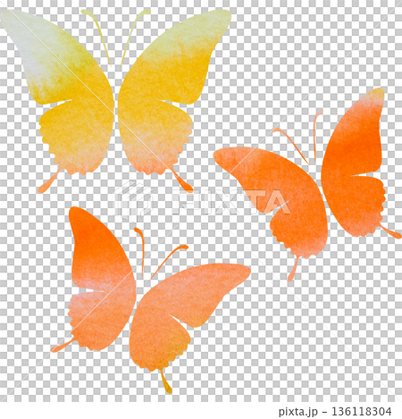 美麗的水彩蝴蝶圖示圖像插圖 美麗的水彩蝴蝶圖示圖像插圖 136118304