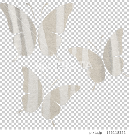 Beautiful watercolor butterfly icon image illustration 136118321