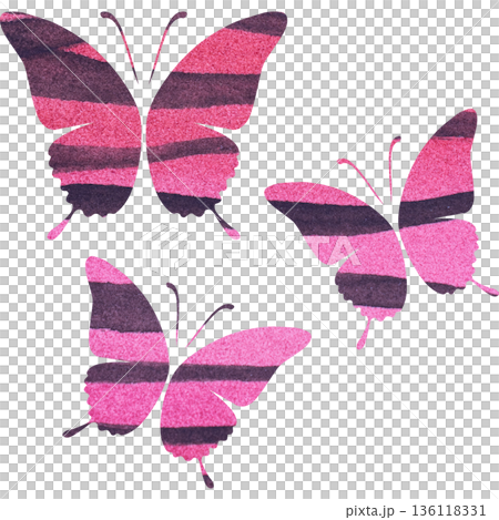 綺麗な水彩模様の蝶のアイコンのイメージのイラスト 136118331