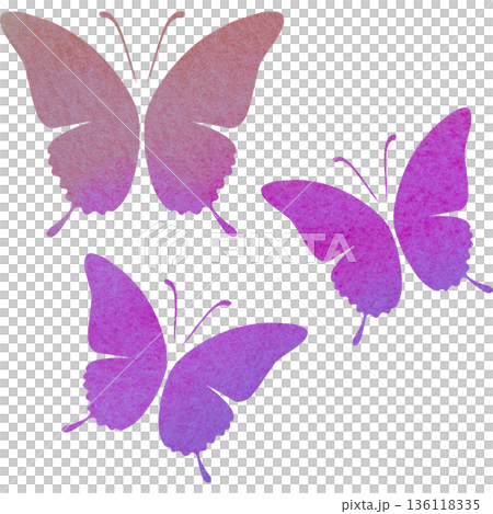 綺麗な水彩模様の蝶のアイコンのイメージのイラスト 綺麗な水彩模様の蝶のアイコンのイメージのイラスト 136118335