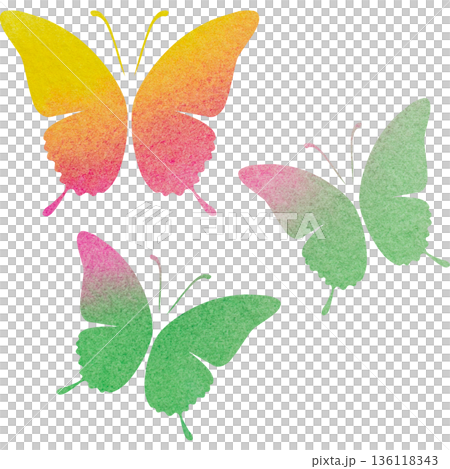 Beautiful watercolor butterfly icon image illustration Beautiful watercolor butterfly icon image illustration 136118343