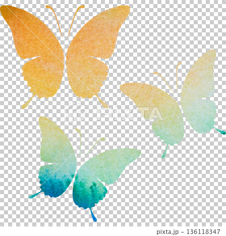 綺麗な水彩模様の蝶のアイコンのイメージのイラスト 136118347