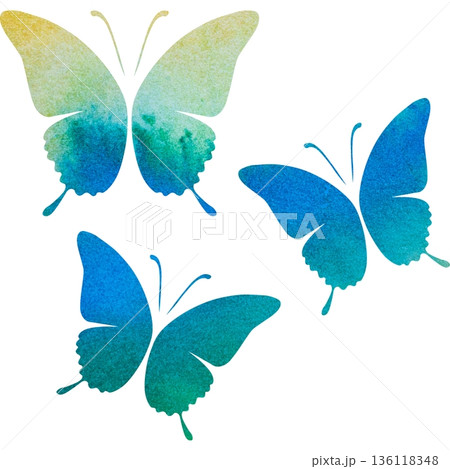 綺麗な水彩模様の蝶のアイコンのイメージのイラスト 136118348