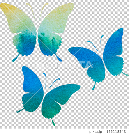 綺麗な水彩模様の蝶のアイコンのイメージのイラスト 136118348