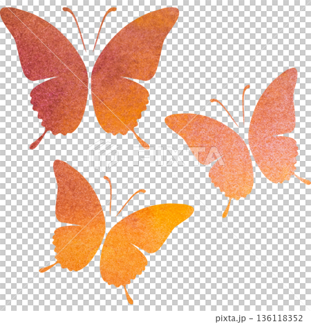 Beautiful watercolor butterfly icon image illustration Beautiful watercolor butterfly icon image illustration 136118352