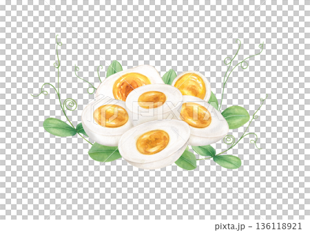 Hard boiled egg halves with young green pea sprouts watercolor illustration on isolated background. Half of eggs with microgreens composition for organic food design, recipe decor, restaurant menu. 136118921