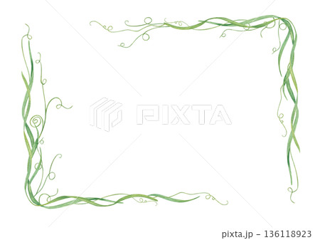 Edible healthy curling shoots with tender tendrils horizontal border. Young spring blades of grass watercolor illustration on isolated background. Green plant for organic product packaging. Edible healthy curling shoots with tender tendrils horizontal border. Young spring blades of grass watercolor illustration on isolated background. Green plant for organic product packaging. 136118923