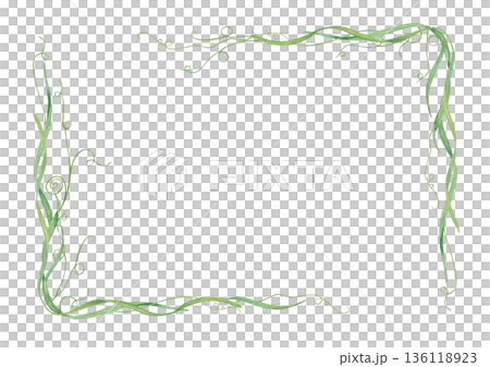 Edible healthy curling shoots with tender tendrils horizontal border. Young spring blades of grass watercolor illustration on isolated background. Green plant for organic product packaging. Edible healthy curling shoots with tender tendrils horizontal border. Young spring blades of grass watercolor illustration on isolated background. Green plant for organic product packaging. 136118923