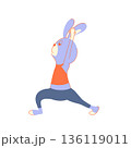ヨガをしてエクササイズしているうさぎ 136119011