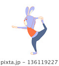 ヨガをしてエクササイズしているうさぎ 136119227