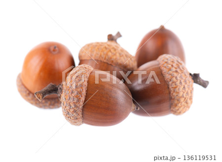 Acorn oak isolated on white background. Ripe brown acorns. Clipping path. 136119531