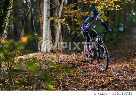 Autumn Forest Mountain Biker Rides Leaf-Litter Trail Wearing Helmet and Gear Autumn Forest Mountain Biker Rides Leaf-Litter Trail Wearing Helmet and Gear 136119732