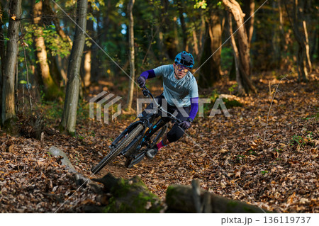 Mountain Biker Navigates Leafy Forest Trail Amid Fallen Leaves and Fresh Autumn Air Mountain Biker Navigates Leafy Forest Trail Amid Fallen Leaves and Fresh Autumn Air 136119737