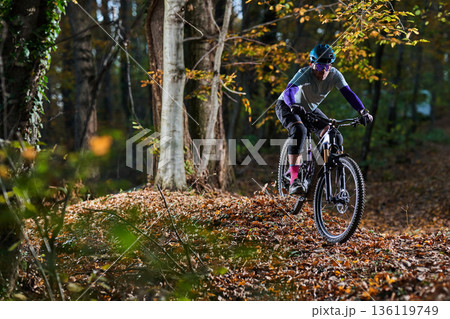 Autumn Forest Mountain Bike Ride: Focused Rider on Rugged Trail Through Colorful Leaves 136119749