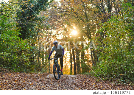 Autumn Forest Bike Ride On Sunlit Trail With Rider In Helmet And Gear Autumn Forest Bike Ride On Sunlit Trail With Rider In Helmet And Gear 136119772