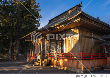 朝焼けに照らされる熊野那智神社の社殿 136119825