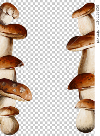Watercolor botanical illustration of porcini mushrooms arranged along the left and right sides of the composition, forming a vertical decorative frame. High quality illustration Watercolor botanical illustration of porcini mushrooms arranged along the left and right sides of the composition, forming a vertical decorative frame. High quality illustration 136119859