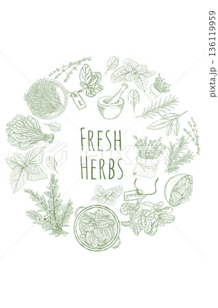 Fresh herbs circular botanical composition with vintage hand drawn plants 136119959
