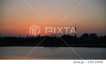 江戸川越しに望む夕焼けの東京スカイツリーと都市シルエット 空を飛ぶ二羽の鳥と 江戸川越しに望む夕焼けの東京スカイツリーと都市シルエット 空を飛ぶ二羽の鳥と 136119992