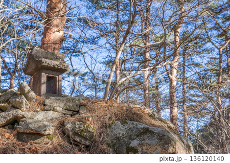 岩岳山頂に佇む石祠と静寂の森 136120140