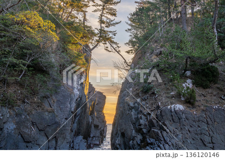 朝焼けに割れる神割崎、岩の裂け目と海 136120146