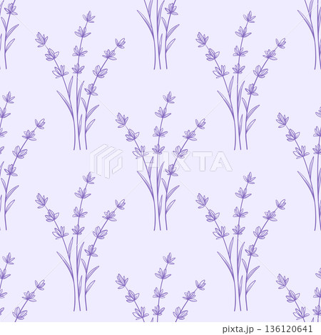 Seamless pattern with lavender flowers 136120641