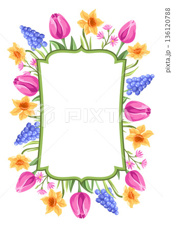 Decorative background with flowers. Spring muscari, tulip and narcissus. Beautiful realistic flowers, buds and leaves. Decorative background with flowers. Spring muscari, tulip and narcissus. Beautiful realistic flowers, buds and leaves. 136120788