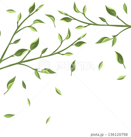 Background with leaves. Spring or summer stylized foliage. 136120798
