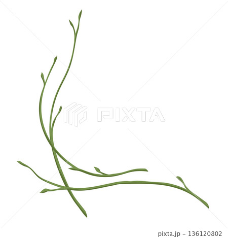 Illustration of branch with buds. Background of sprigs. Spring young leaves. 136120802