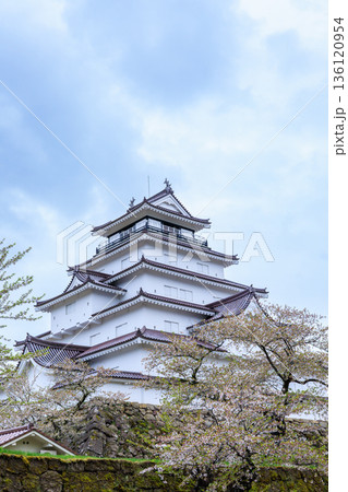 桜が満開な鶴ヶ城(福島県会津若松市) 桜が満開な鶴ヶ城(福島県会津若松市) 136120954