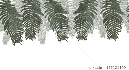 Fern leaf horizontal repeat vector outline. Green seamless border of palm leaves design for natural background. Monochrome botanical art for print and textile. Pteridophyte endless drawing on banner. 136121109