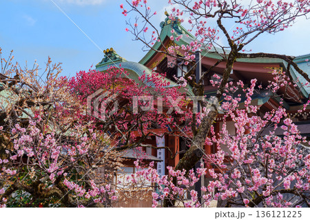京都 北野天満宮 宝物館 京都 北野天満宮 宝物館 136121225