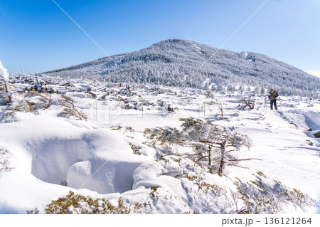 雪の北八ヶ岳 スノーハイク 136121264