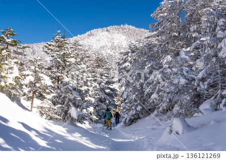 雪の北八ヶ岳 スノーハイク 136121269