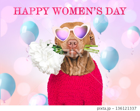 Happy Women's Day. Cute dog and congratulatory inscription 136121337