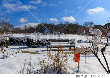 雪に包まれたぎふワールドローズガーデンのベンチと静かな冬景色 雪に包まれたぎふワールドローズガーデンのベンチと静かな冬景色 136121440