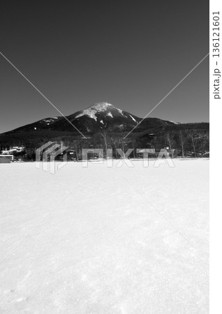 真冬の白樺湖 136121601