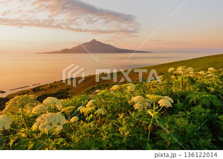 礼文島桃岩展望台から見た夜明けの利尻富士 136122014