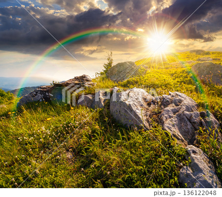 mountain landscape in summer at sunset. alpine scenery with steep grassy slope under blue sky in evening light. beautiful view of coniferous tree near rock among lush green grass. remote place 136122048