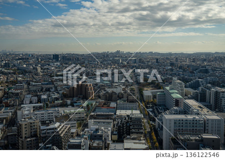 東京江戸川区の船堀タワーホールから江東区荒川方面の眺め 東京江戸川区の船堀タワーホールから江東区荒川方面の眺め 136122546
