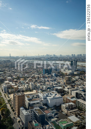 東京江戸川区の船堀タワーホールから江東区荒川方面の眺め 136122556
