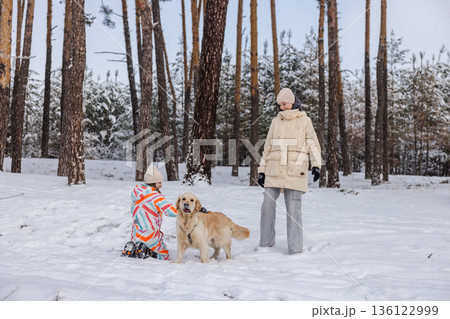 Teenage girl and adult woman playing with Golden Retriever dog during winter walk in snowy pine forest, family outdoor leisure and calm nature moment 136122999