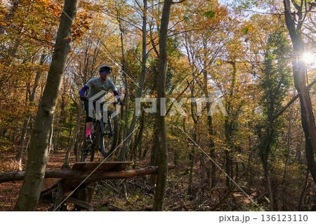Autumn Mountain Biker Jumping Over Log Bridge on Sunlit Forest Trail Adventure 136123110