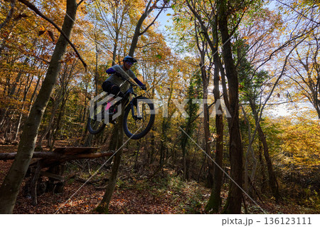 Autumn Mountain Bike Rider Jumping Over Log on Forest Trail Adventure Photo 136123111
