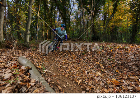 Autumn Mountain Biker Navigates Leaf-Litter Trail Through Sunlit Dense Forest 136123137