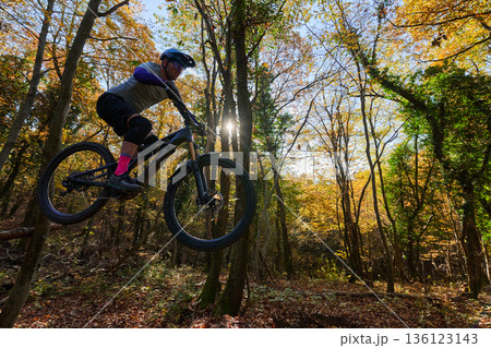 Mountain Biker Jumping Through Autumn Forest Trail Under Golden Sunlight in Outdoor Adventure Mountain Biker Jumping Through Autumn Forest Trail Under Golden Sunlight in Outdoor Adventure 136123143