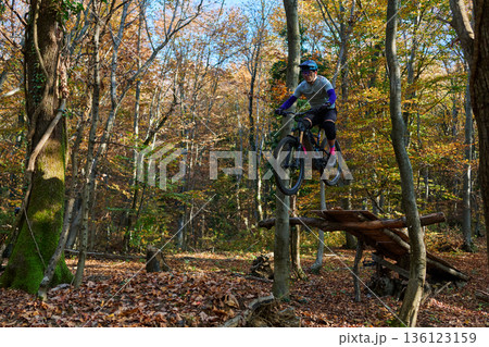 Mountain Bike Rider Jumps Over Wooden Ramp in Autumn Forest Trail Adventure 136123159