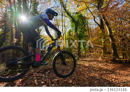 Autumn Mountain Biker Riding Through Sunlit Forest Trails in Fall Colors and Adventure 136123188